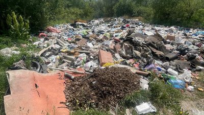 Чергове сміттєзвалище у Житомирі виявили екологи у середмісті