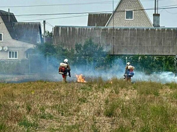 Рятувальники гасять загоряння сухої трави поблизу будинків, Житомирщина, серпень 2024 року