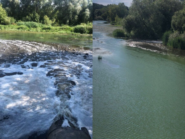 Забруднення річки Тетерів у Коростишеві стічними водами