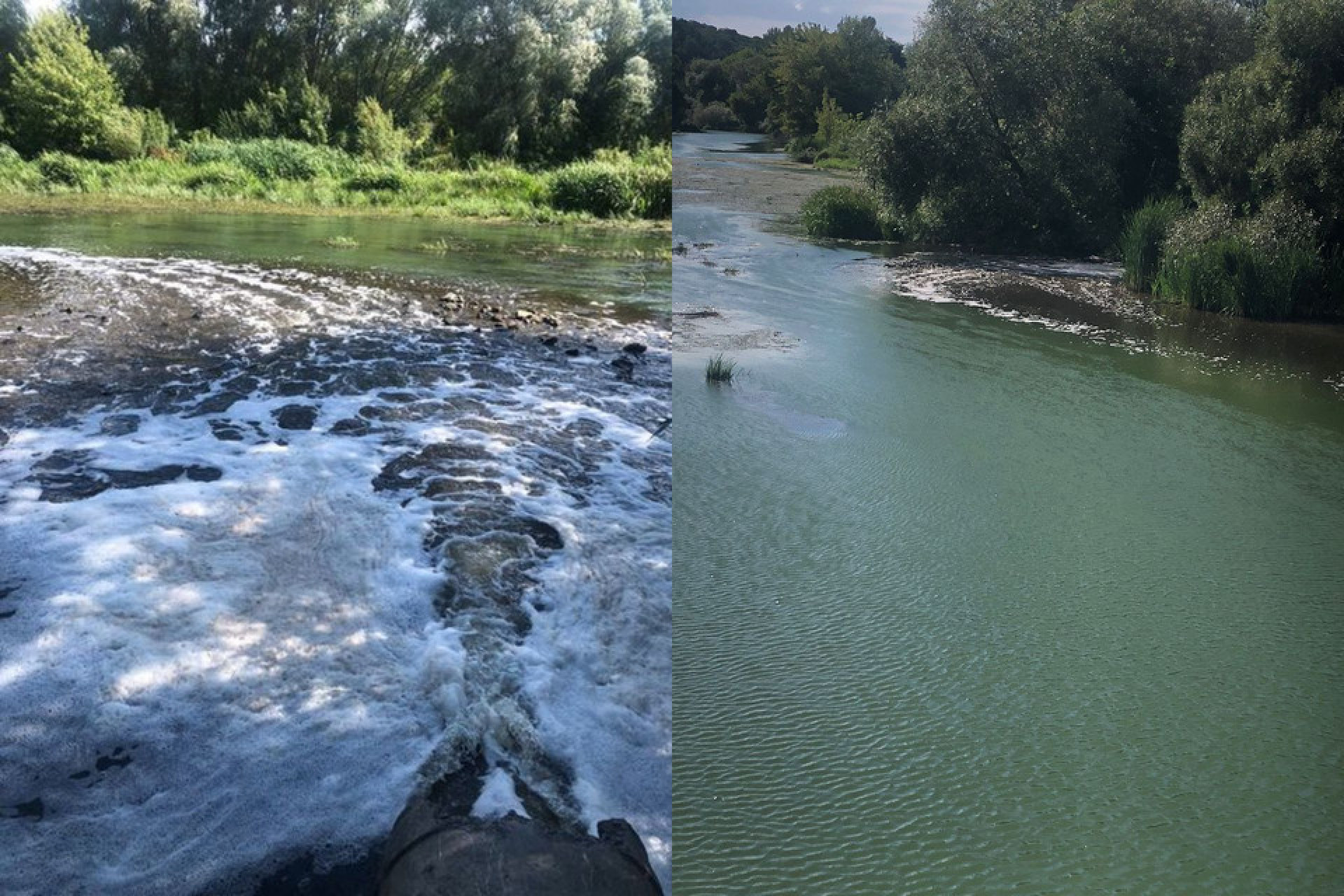 Забруднення річки Тетерів у Коростишеві стічними водами